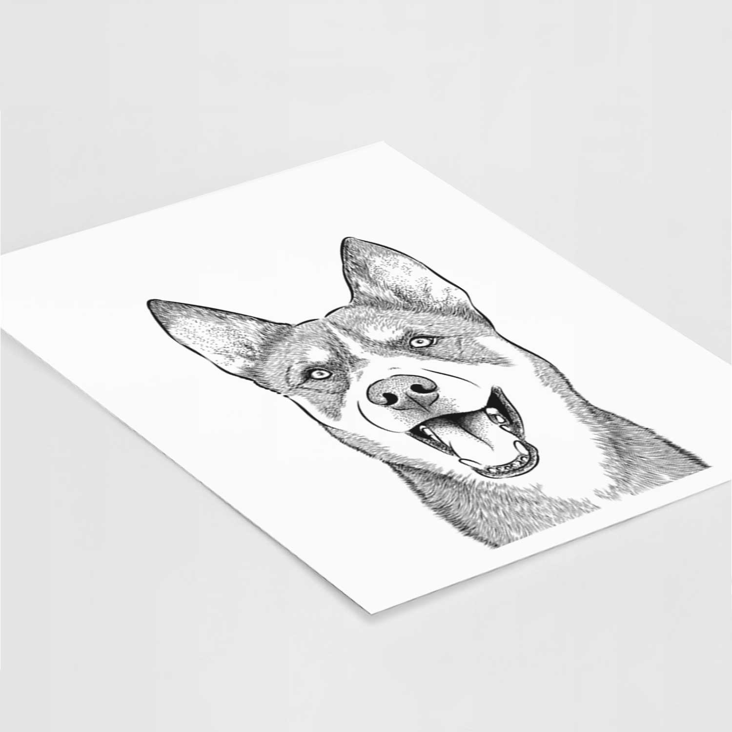 Roux the Siberian Husky Art Print