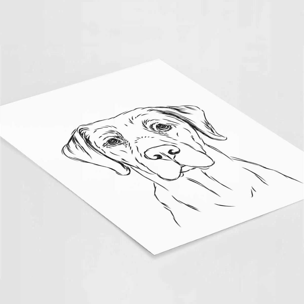 Rowdy the Labrador Retriever Art Print