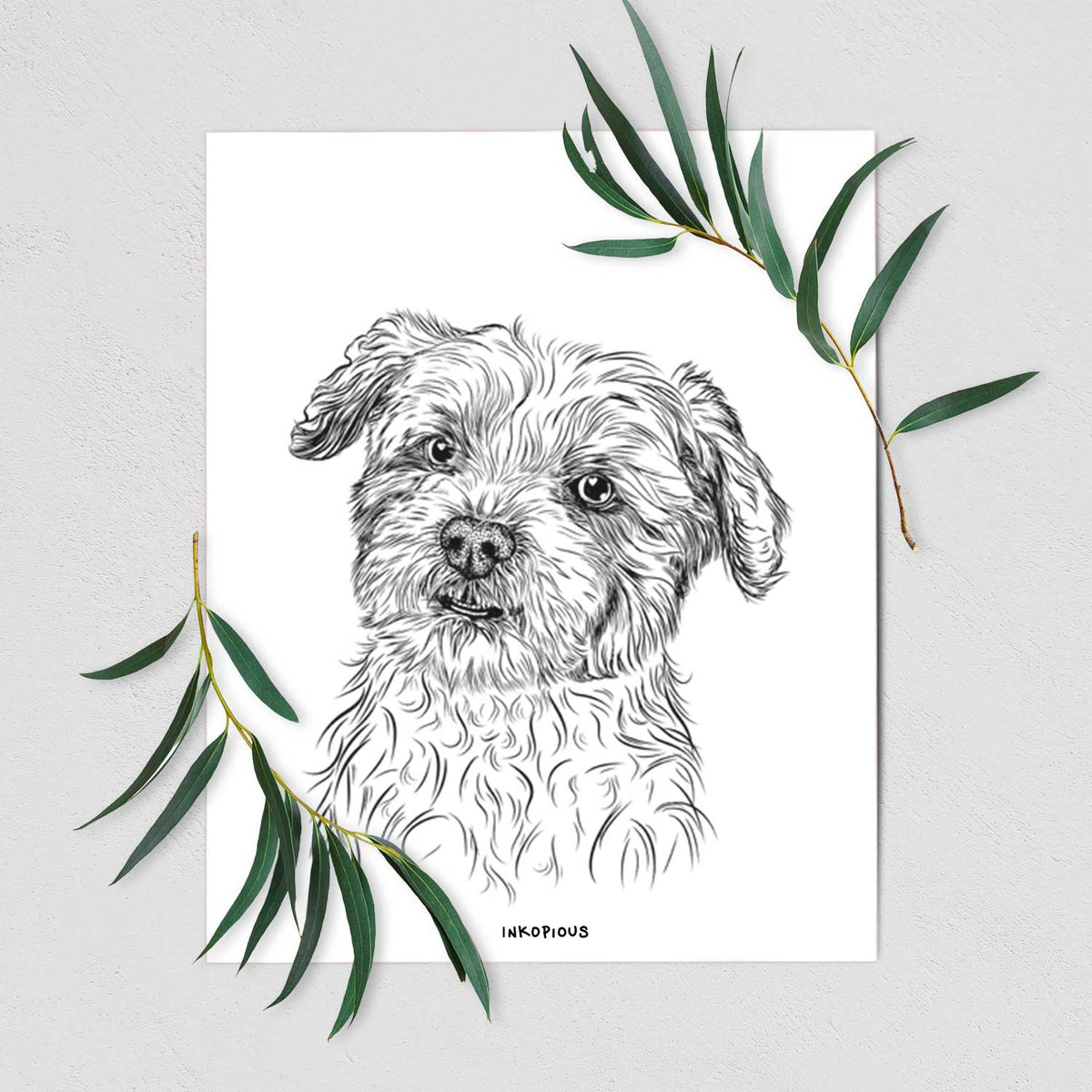 Roxie the Schnauzer Shih Tzu Mix Art Print