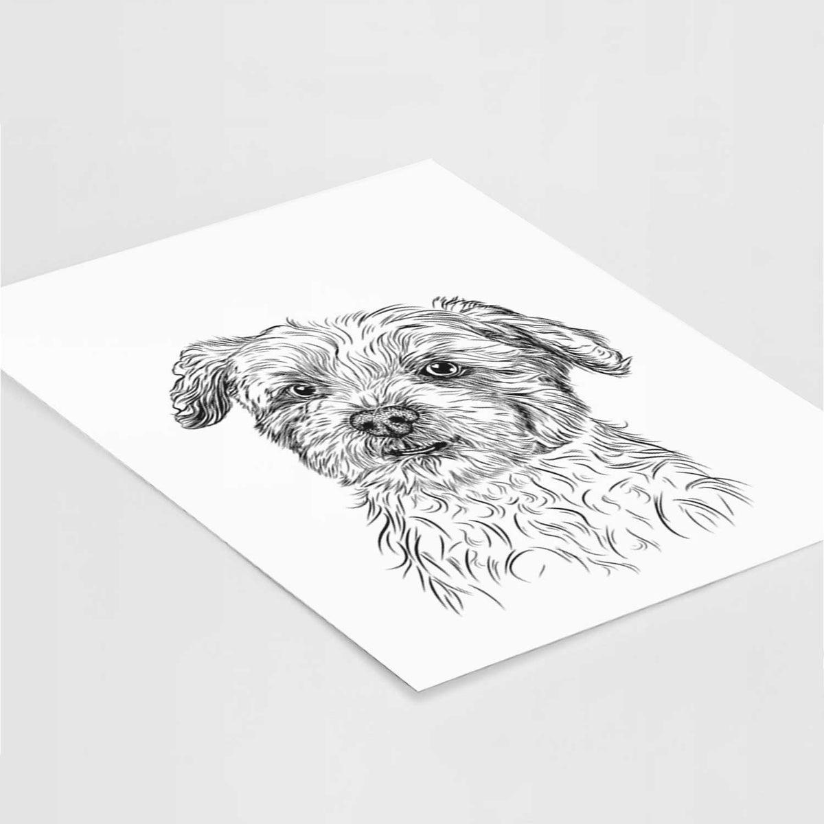 Roxie the Schnauzer Shih Tzu Mix Art Print