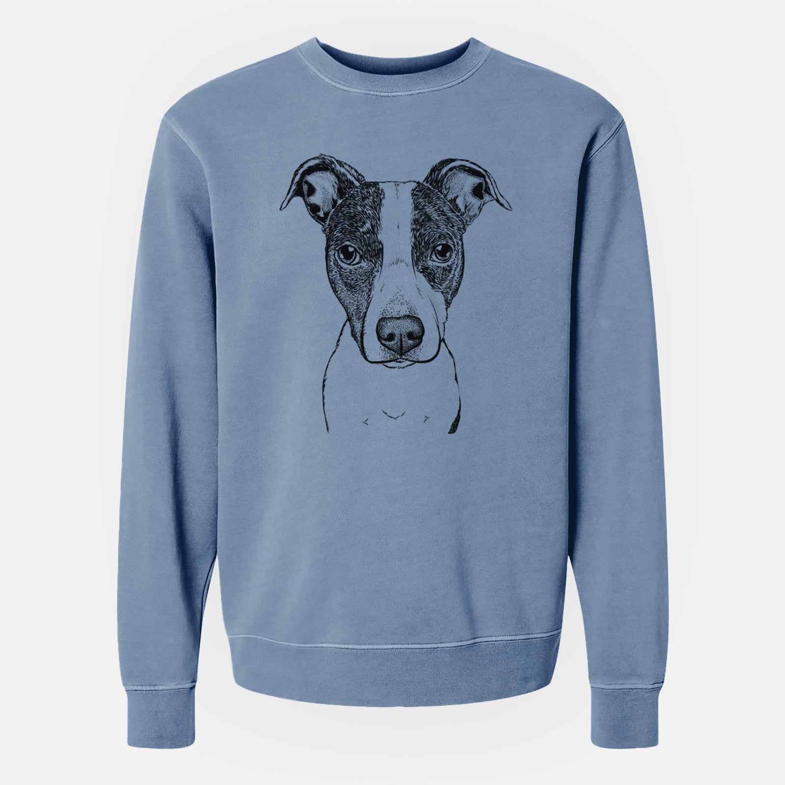 Bare Roxy the Bo Jack - Unisex Pigment Dyed Crew Sweatshirt