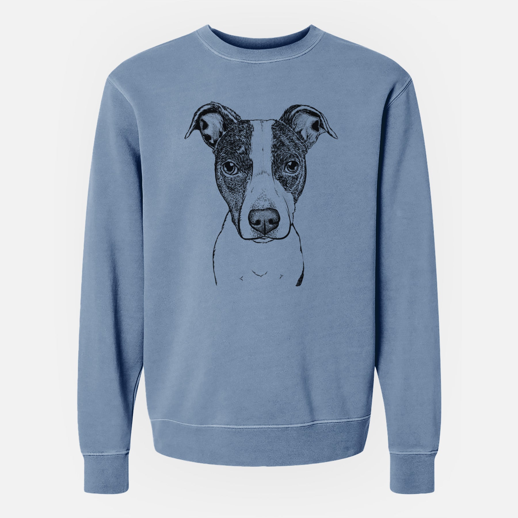 Bare Roxy the Bo Jack - Unisex Pigment Dyed Crew Sweatshirt