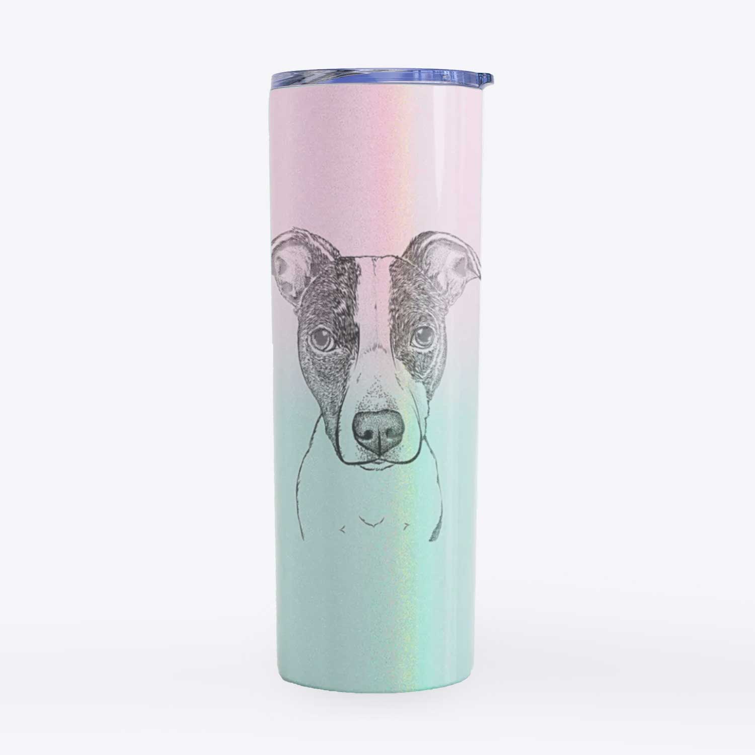 Roxy the Bo Jack - 20oz Skinny Tumbler