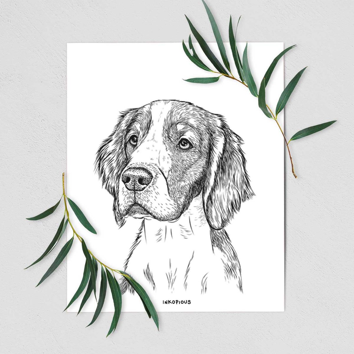 Roxy the Welsh Springer Spaniel Art Print