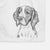 Roxy the Welsh Springer Spaniel Decorative Hand Towel