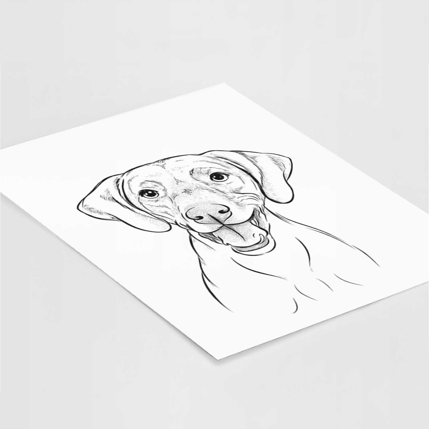 Ruby the Vizsla Art Print