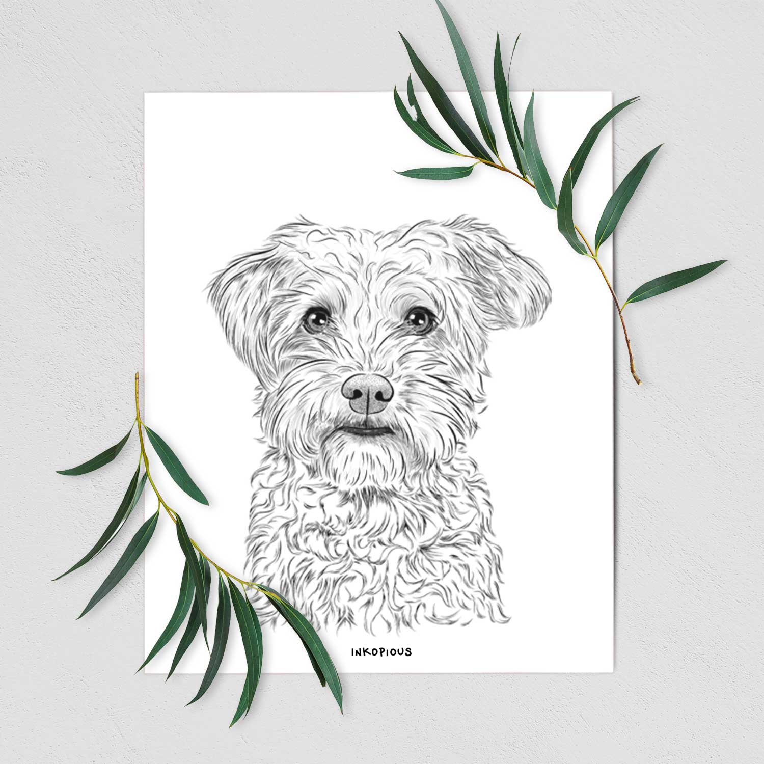 Rudy the Schnoodle Art Print