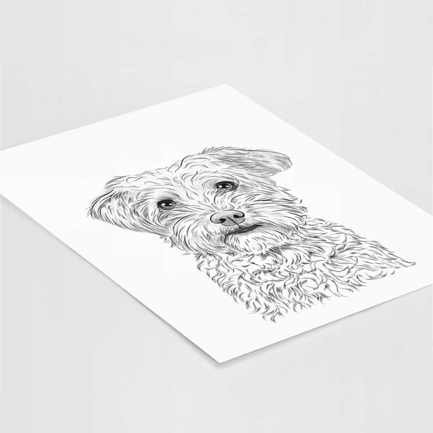 Rudy the Schnoodle Art Print