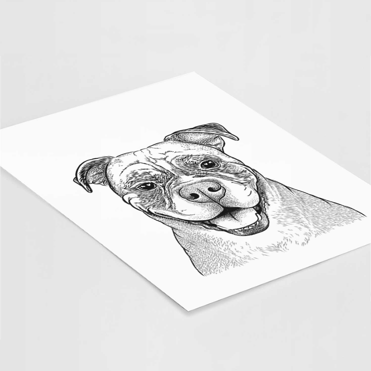 Rufus the American Bulldog Art Print