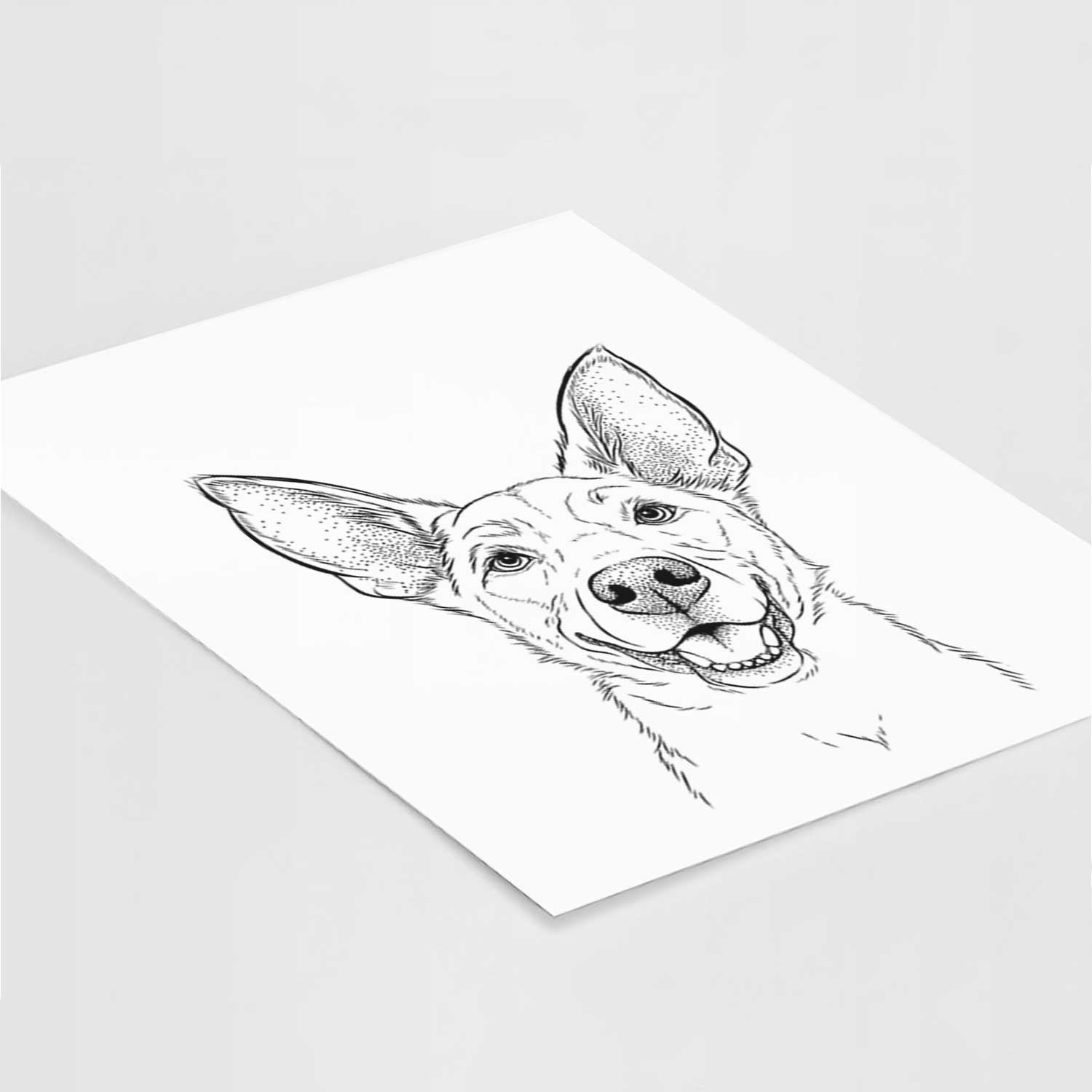 Rumley the Kelpie Mix Art Print