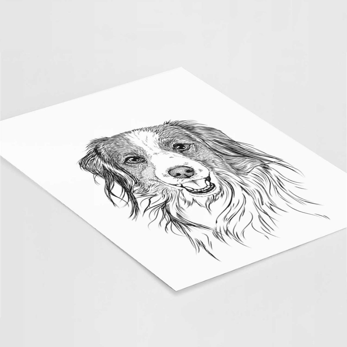 Rutger the Nederlandse Kooikerhondje Art Print
