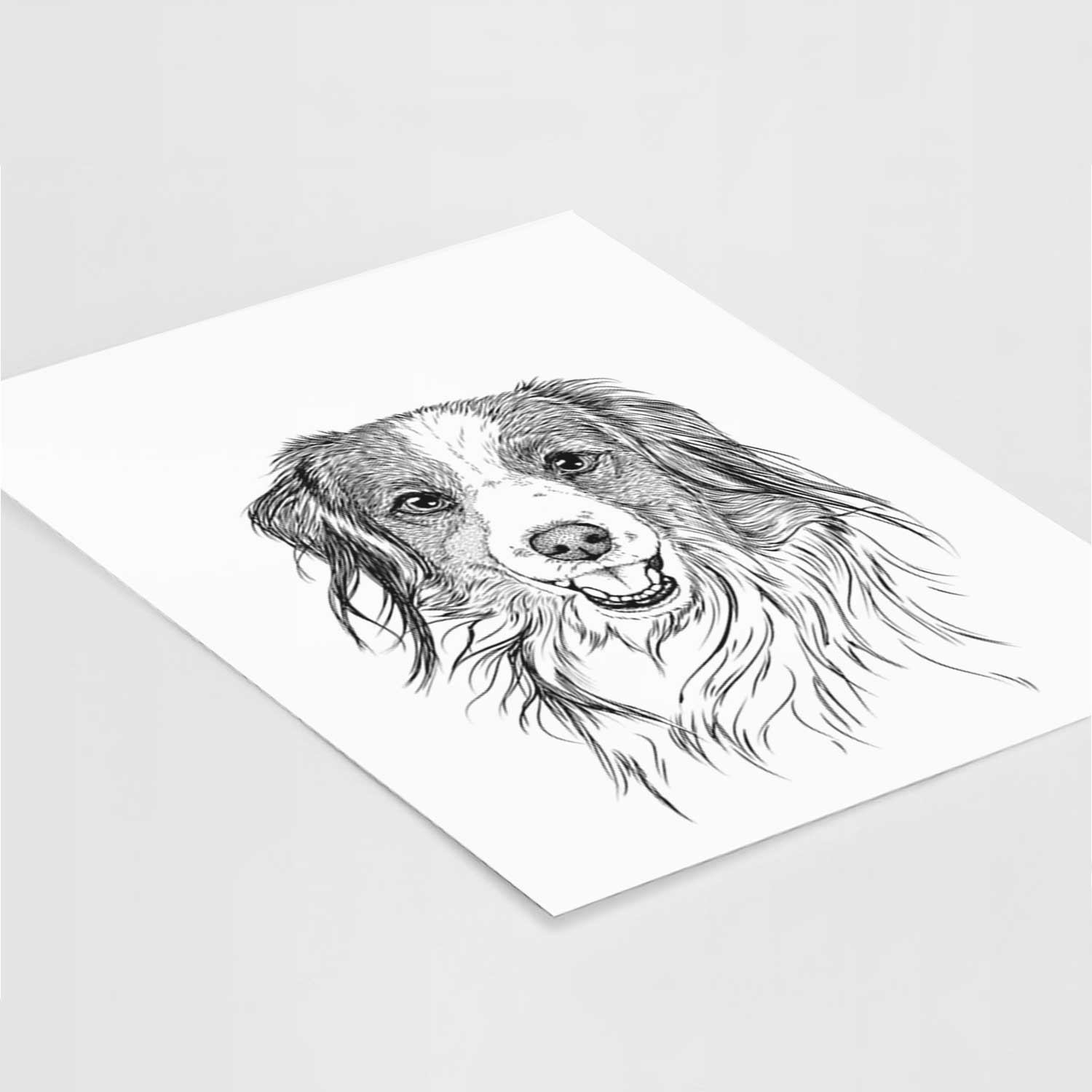 Rutger the Nederlandse Kooikerhondje Art Print