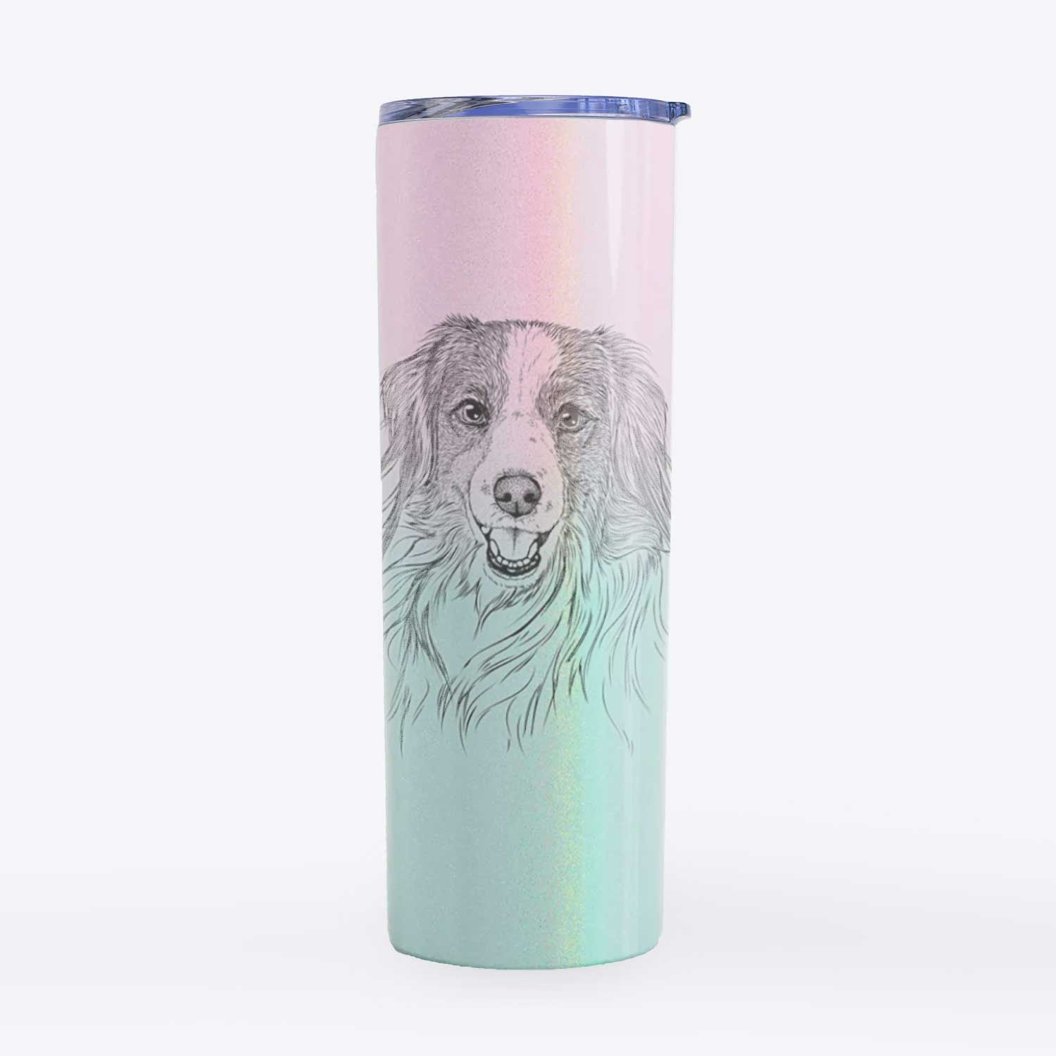 Rutger the Nederlandse Kooikerhondje - 20oz Skinny Tumbler