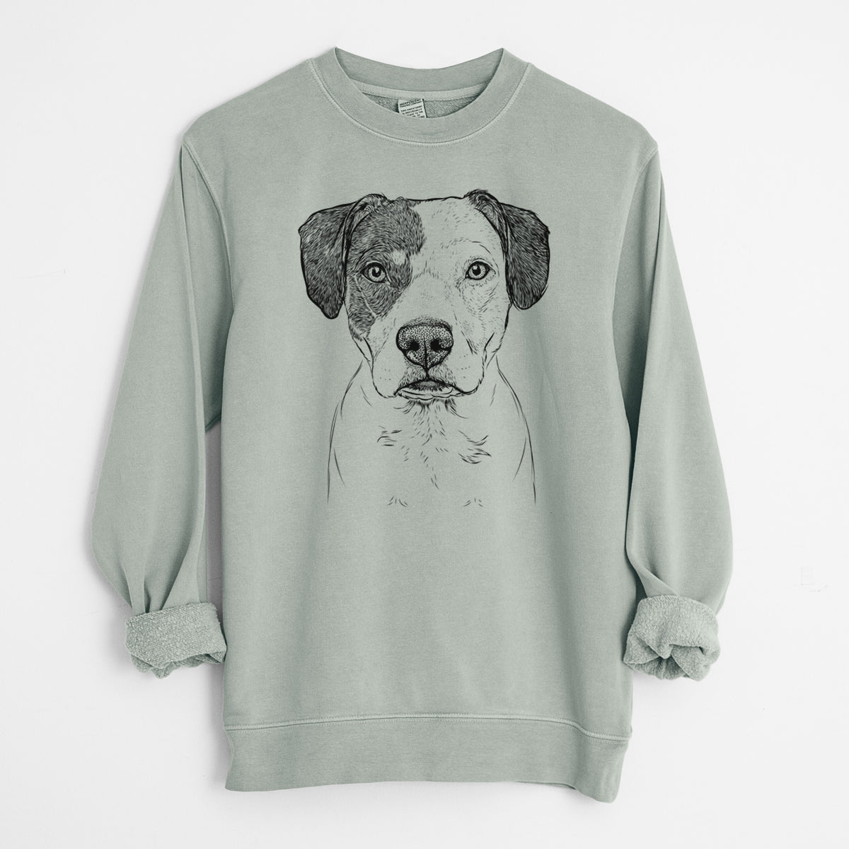 Bare Ryleigh the Beagle Pitbull Mix - Unisex Pigment Dyed Crew Sweatshirt