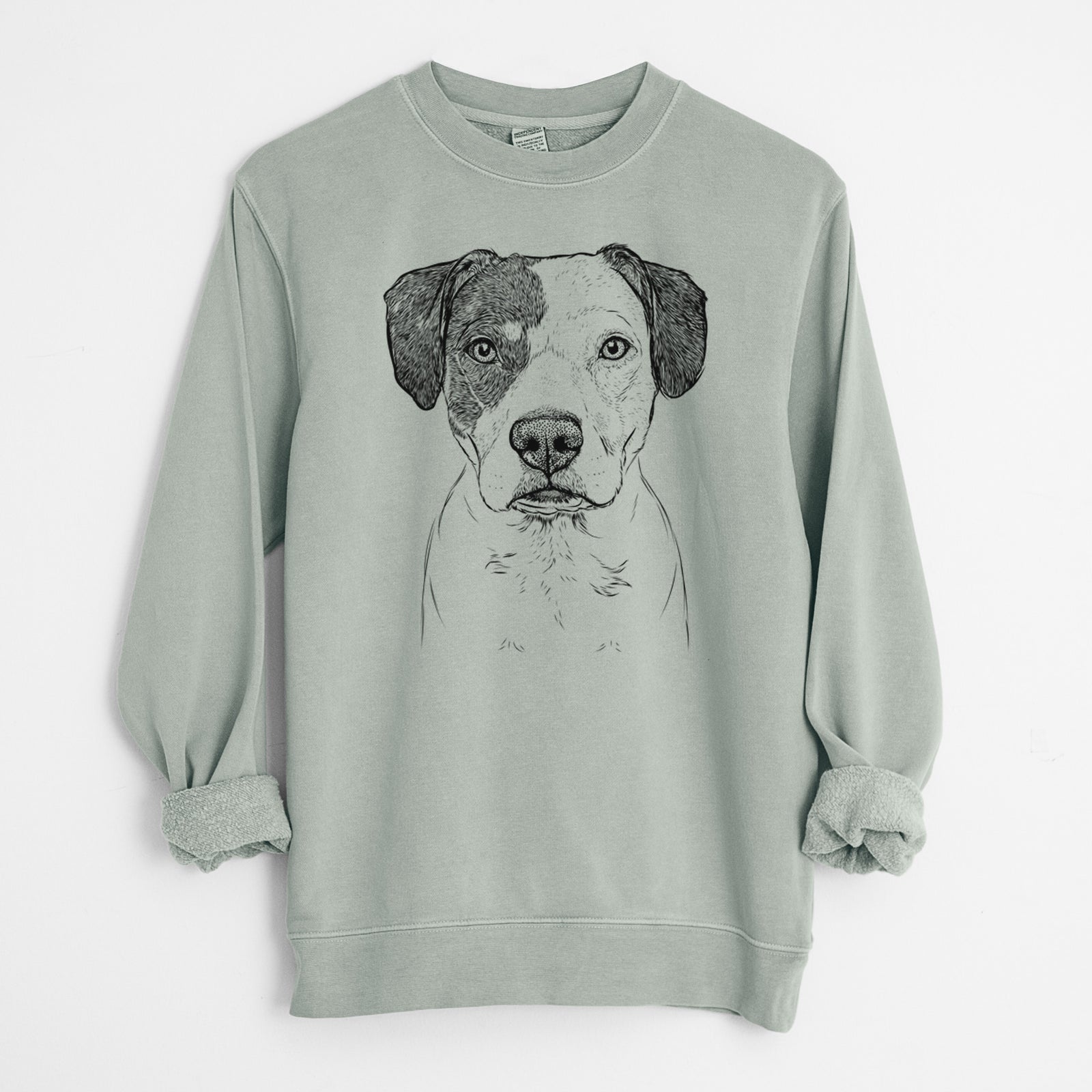 Bare Ryleigh the Beagle Pitbull Mix - Unisex Pigment Dyed Crew Sweatshirt