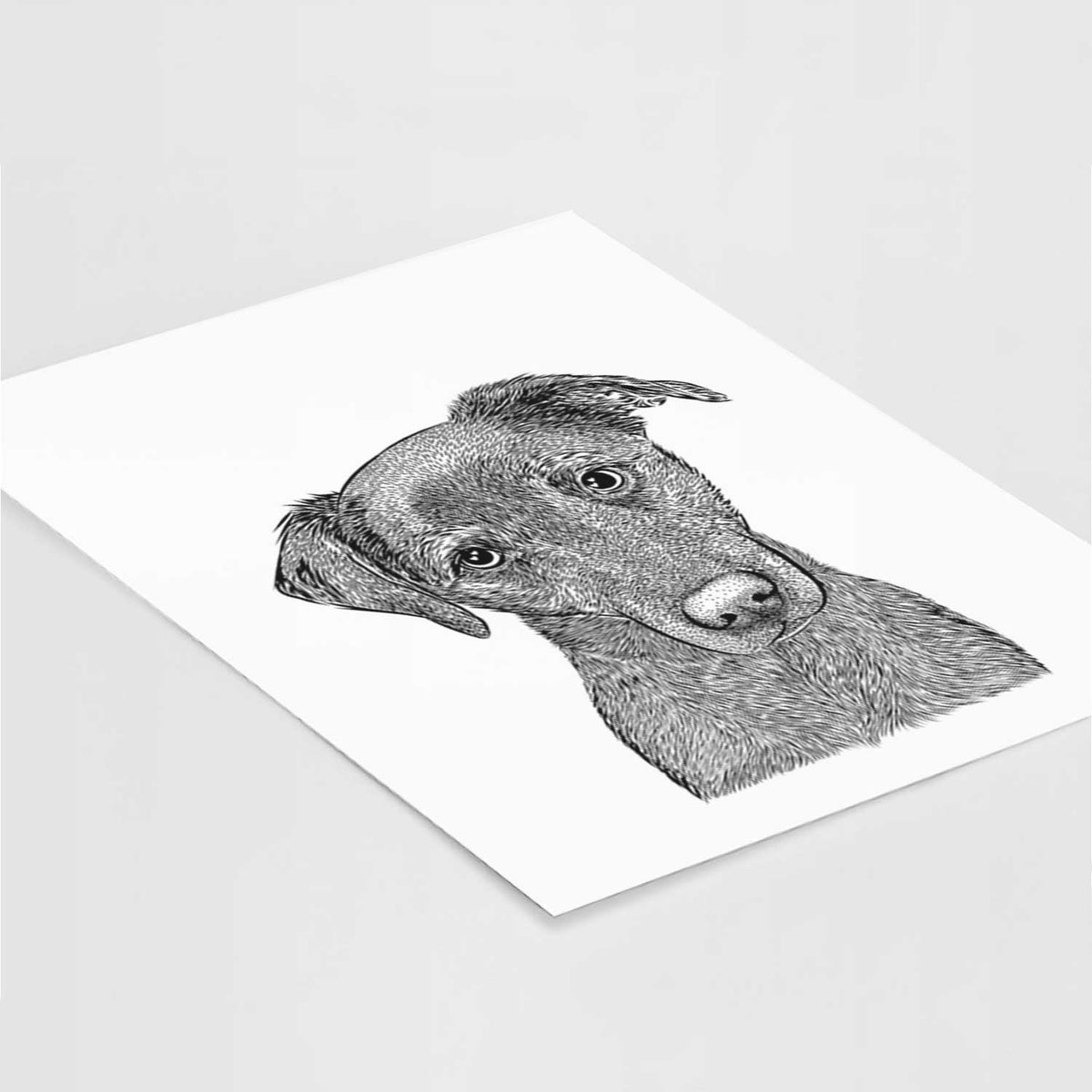 Sadie the Whipador Art Print