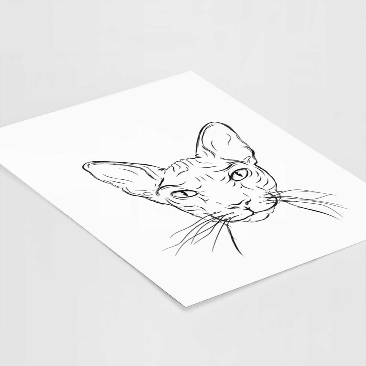 Sammy the Spinx Cat Art Print