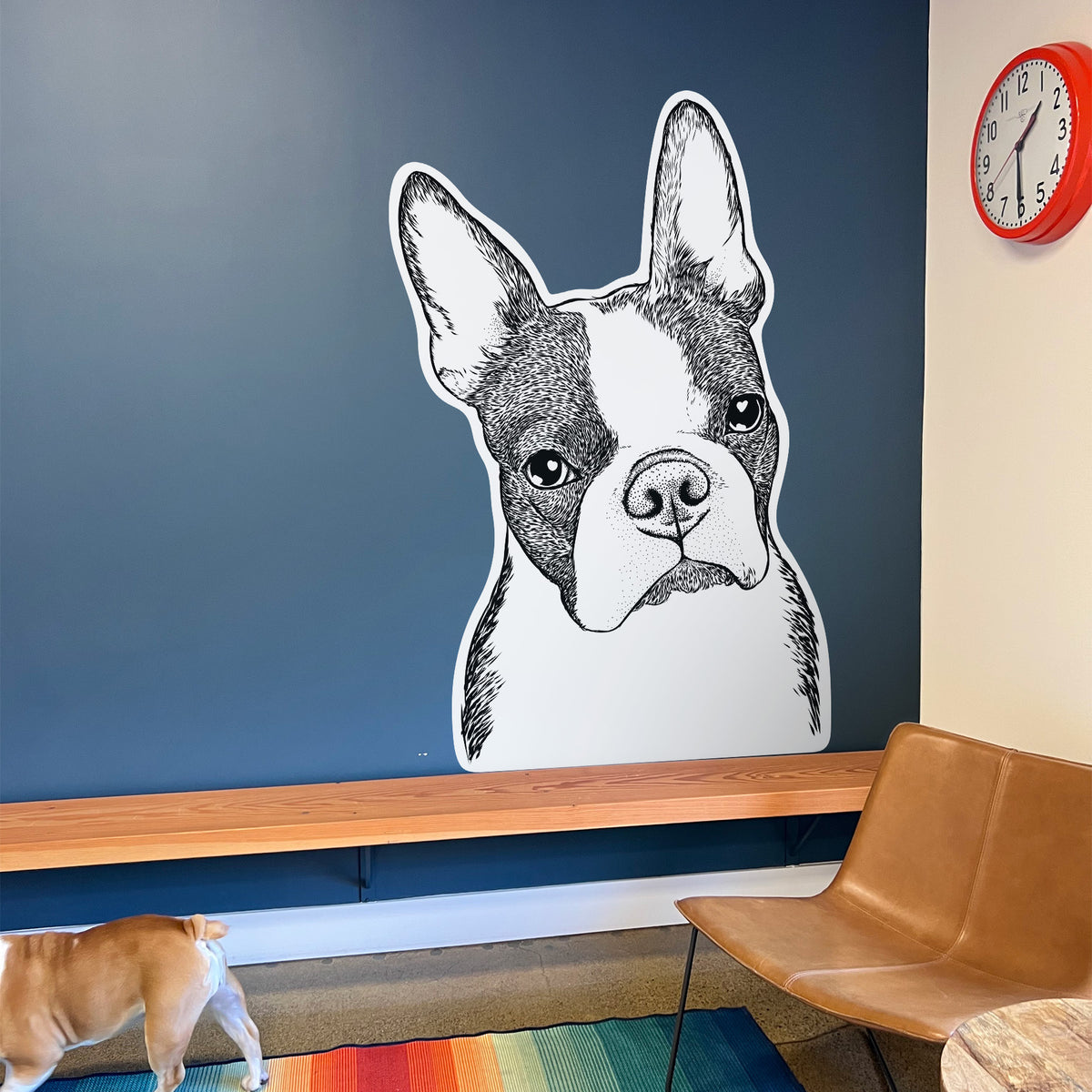 Samuel the Boston Terrier - Wall Decal