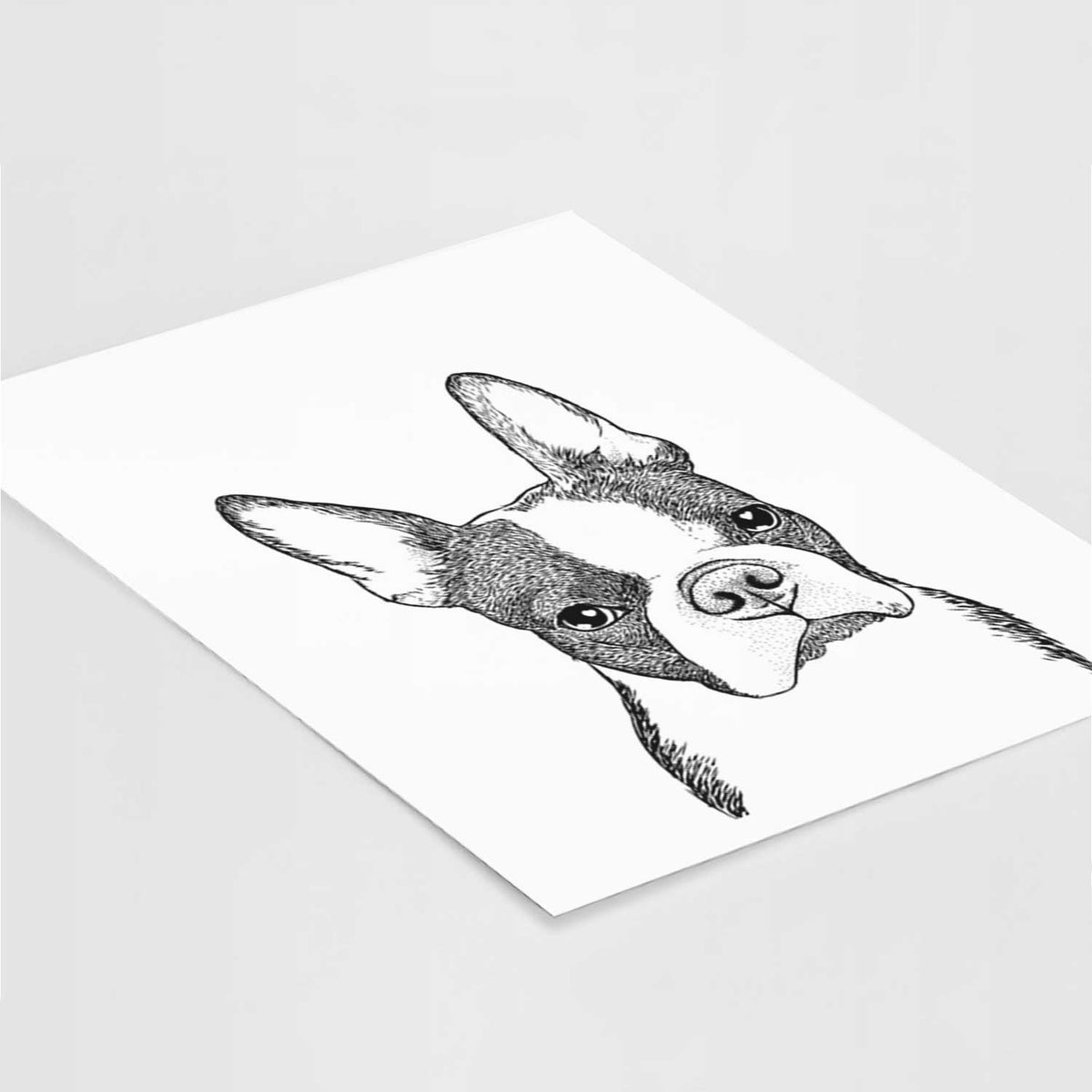 Samuel the Boston Terrier Art Print