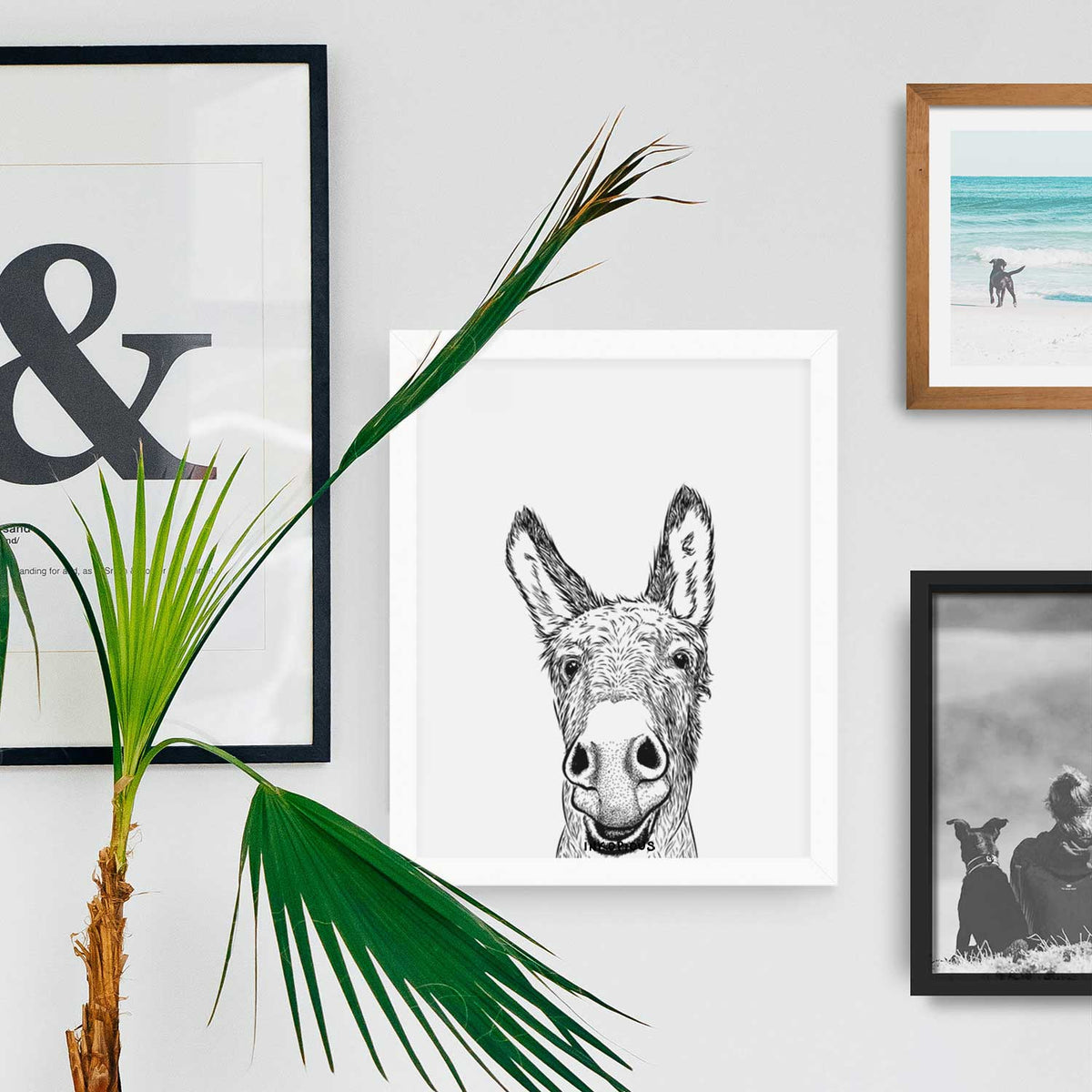 Samule the Donkey Art Print