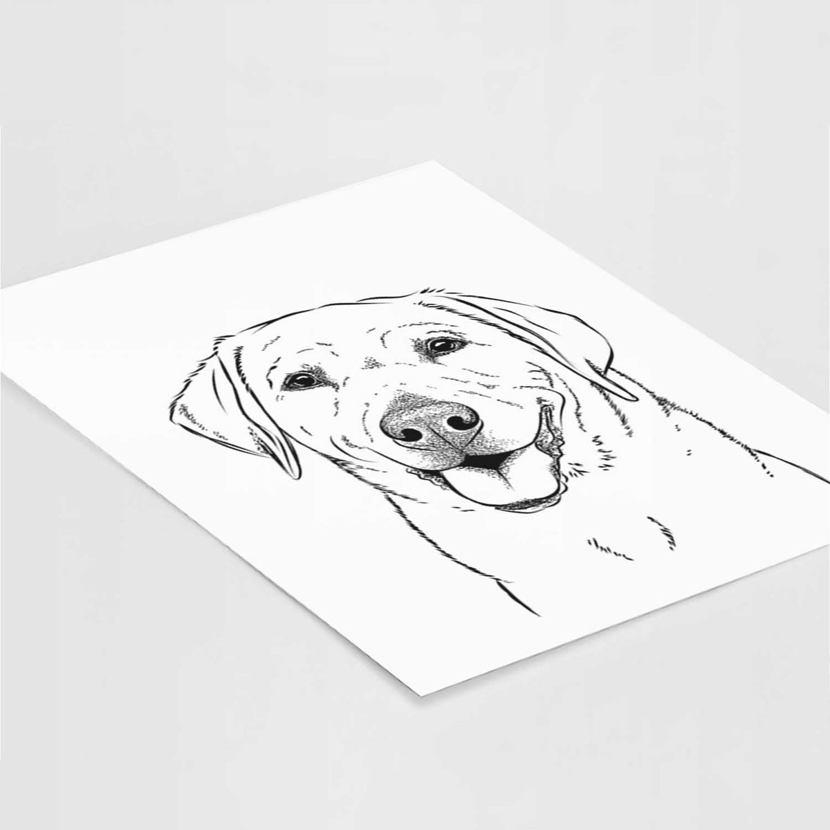 Sanford the Labrador Retriever Art Print