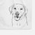 Sanford the Labrador Retriever Decorative Hand Towel