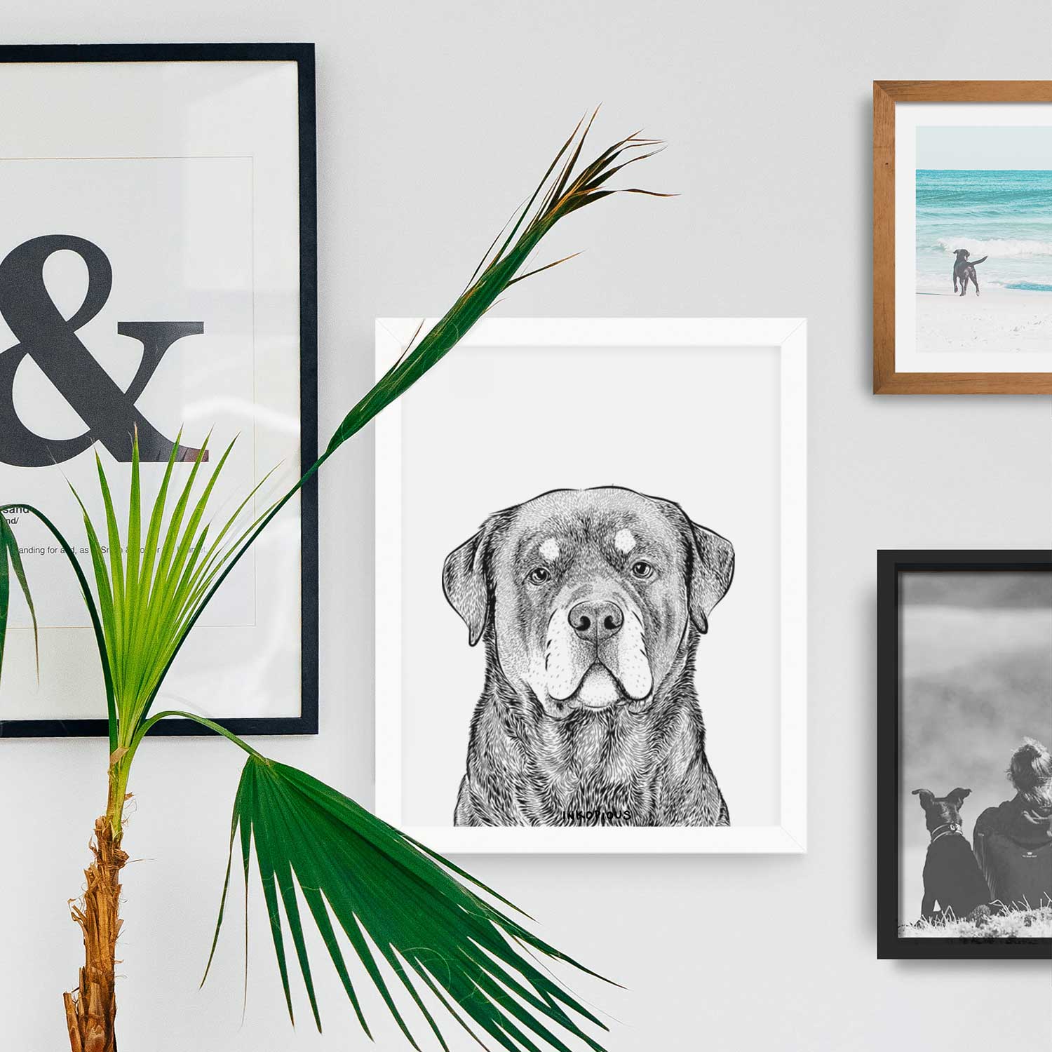 Sarge the Rottweiler Art Print
