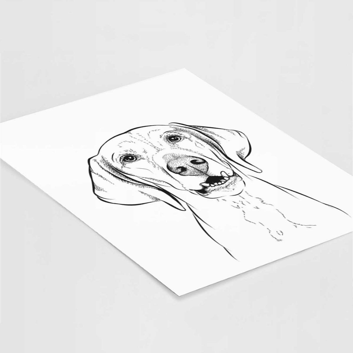 Sarge the Vizsla Art Print