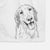 Shelby the Golden Retriever Decorative Hand Towel