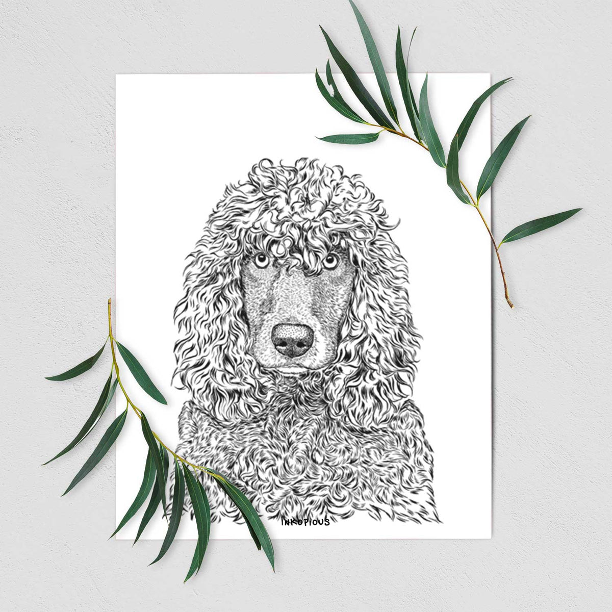 Shilo the Irish Water Spaniel Art Print