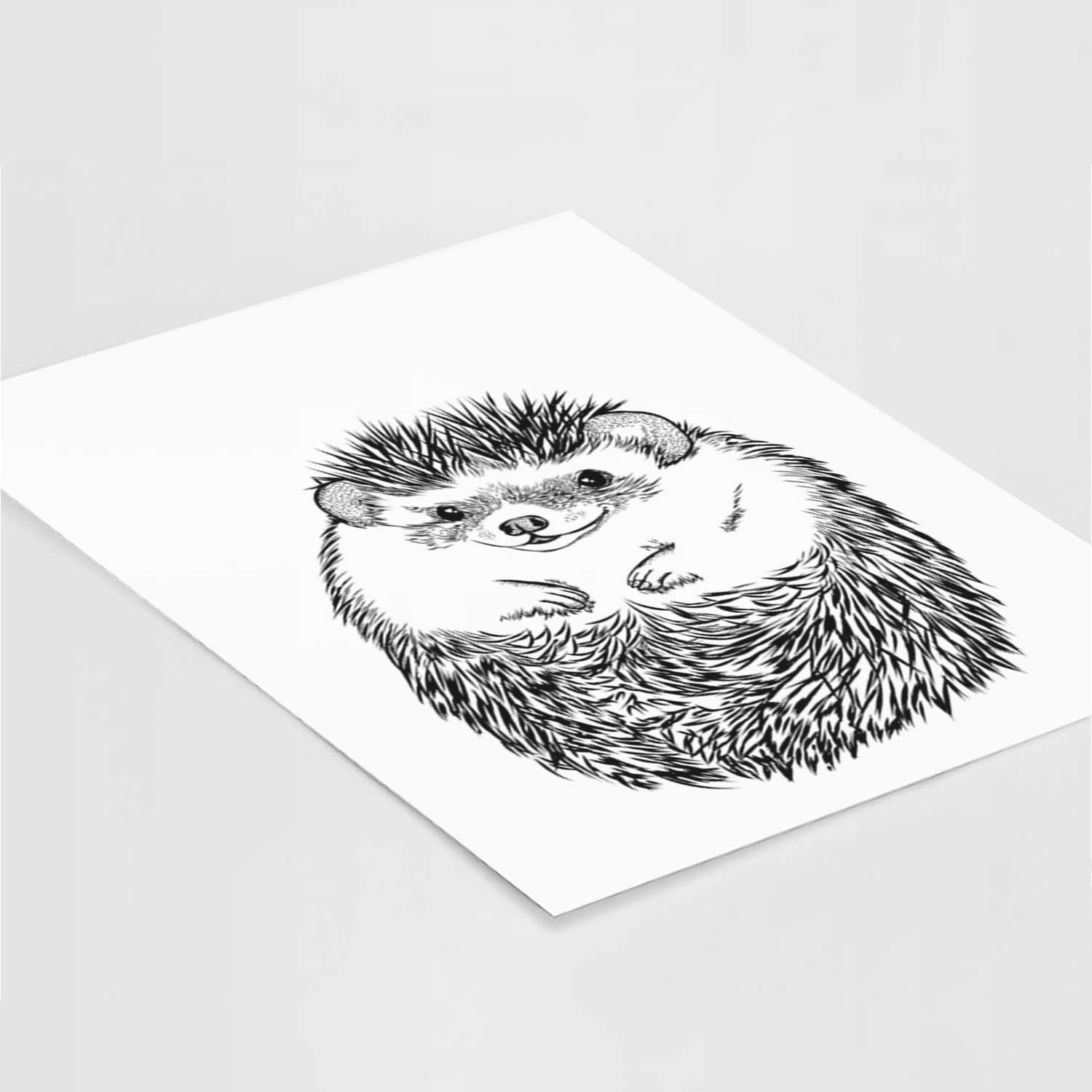 Sid the Hedgehog Art Print