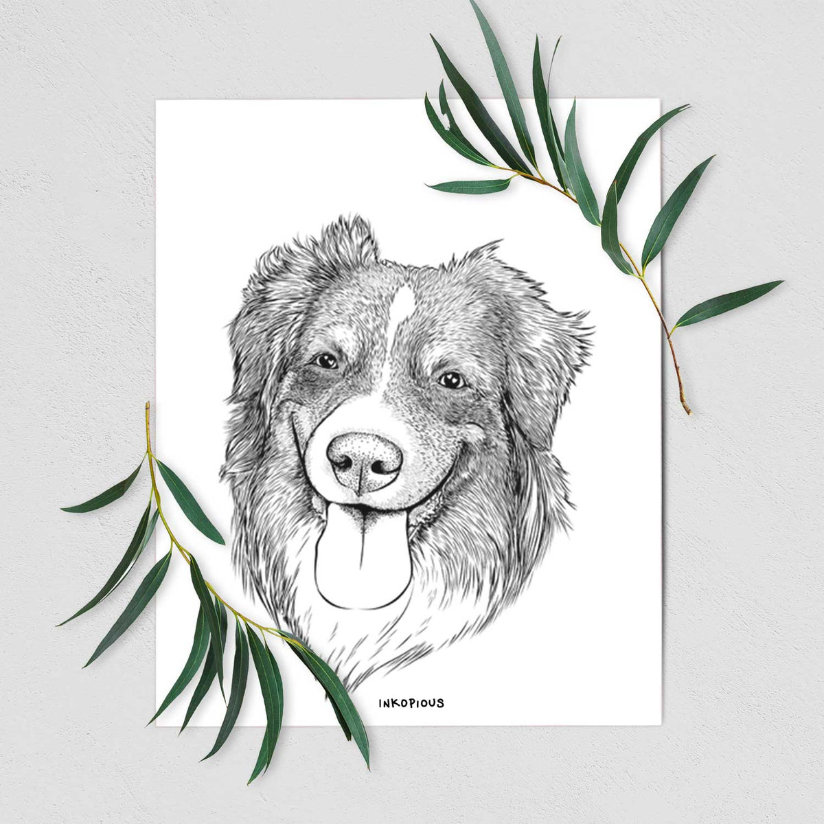 Siena the Australian Shepherd Art Print