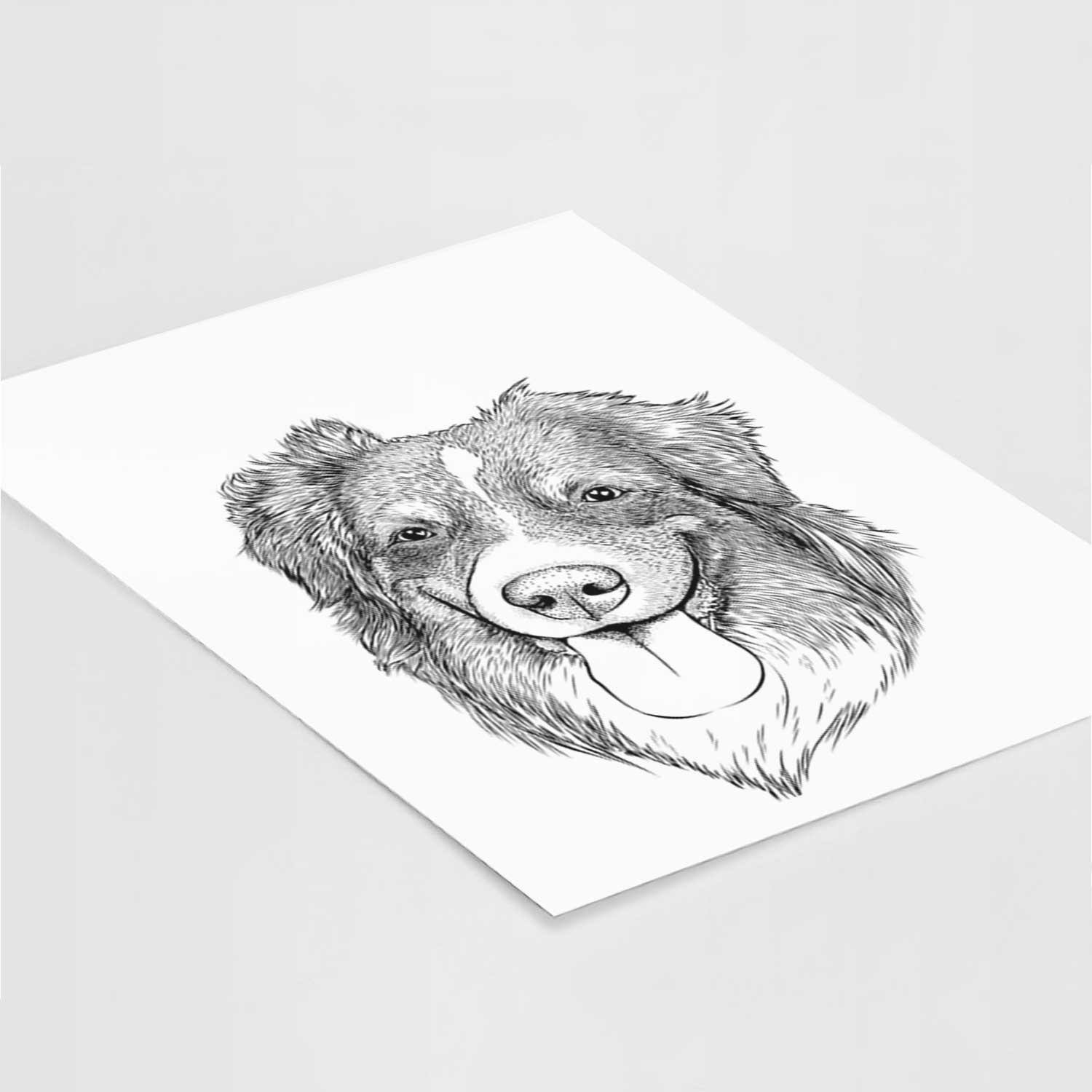 Siena the Australian Shepherd Art Print