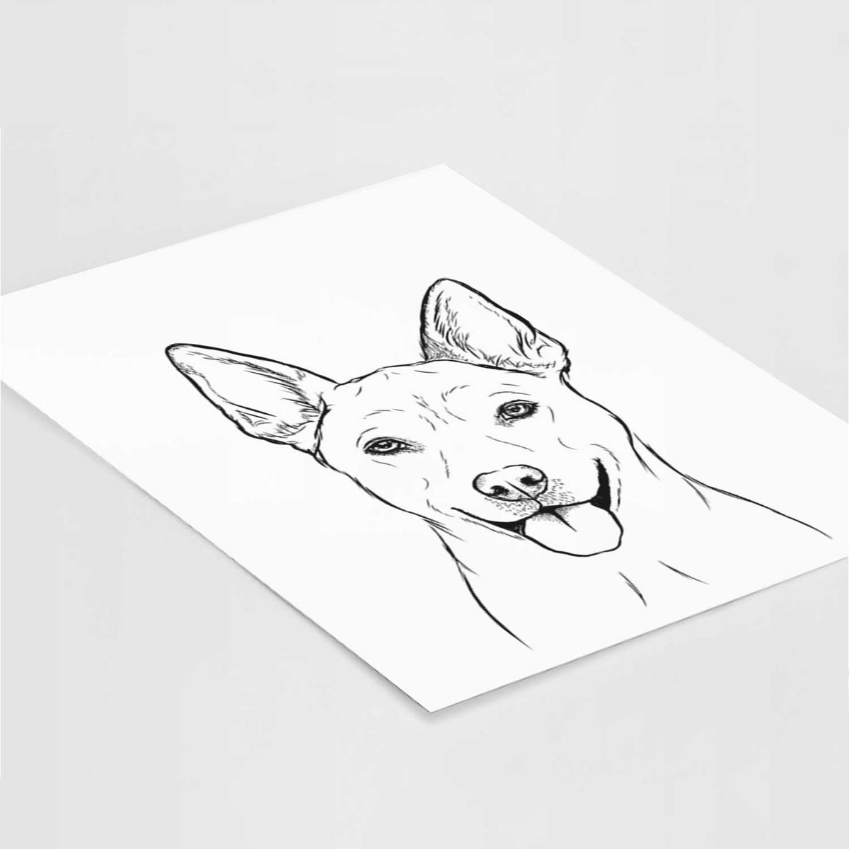 Silly Lilly the Mixed Breed Art Print