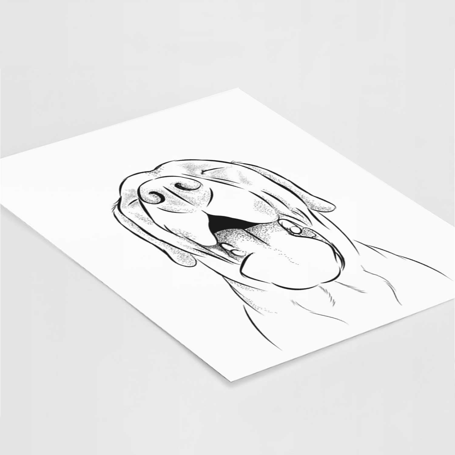 Silly Lilly the Labrador Retriever Art Print