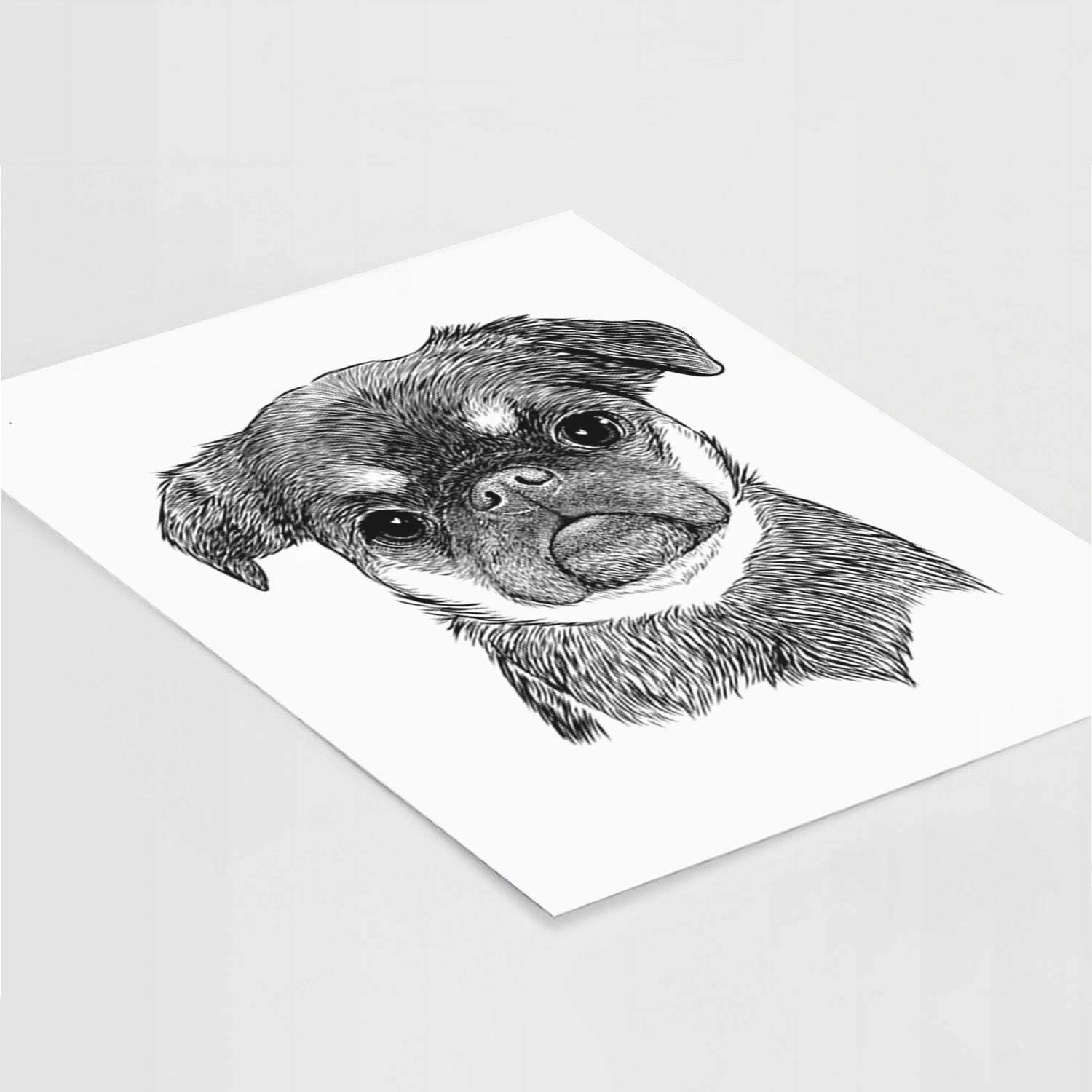 Simone the Brussels Griffon Art Print