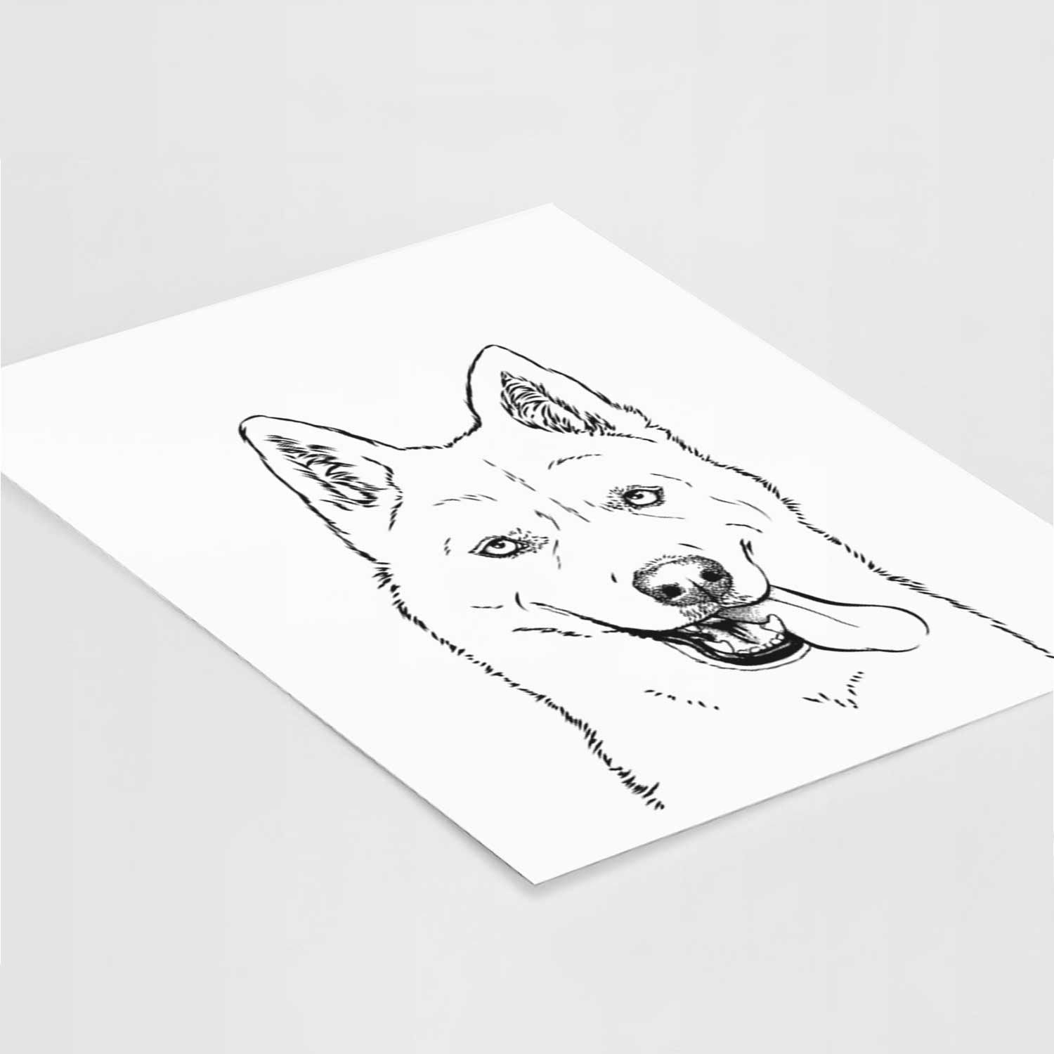 Sinatra the Siberian Husky Art Print