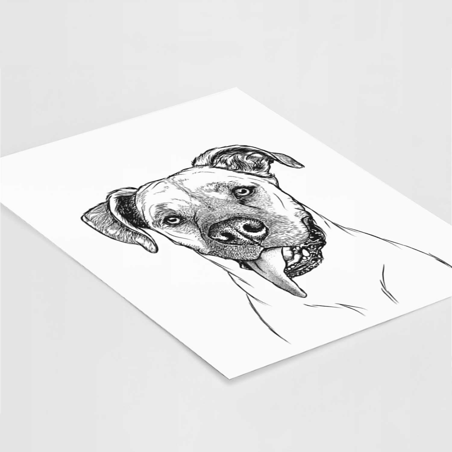 Sir Jake the Boxer Art Print