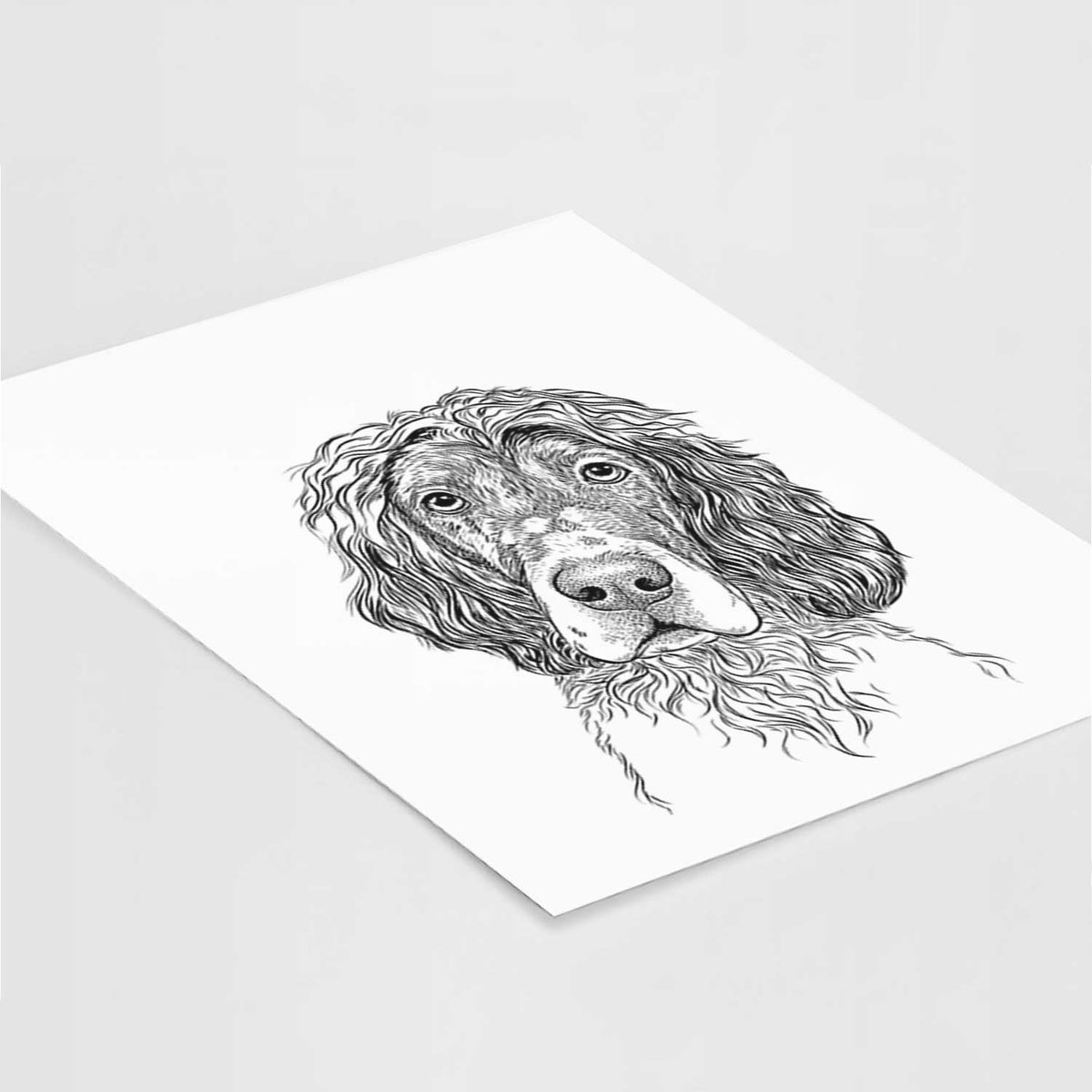 Sir Rexford the Blue Belton English Setter Art Print