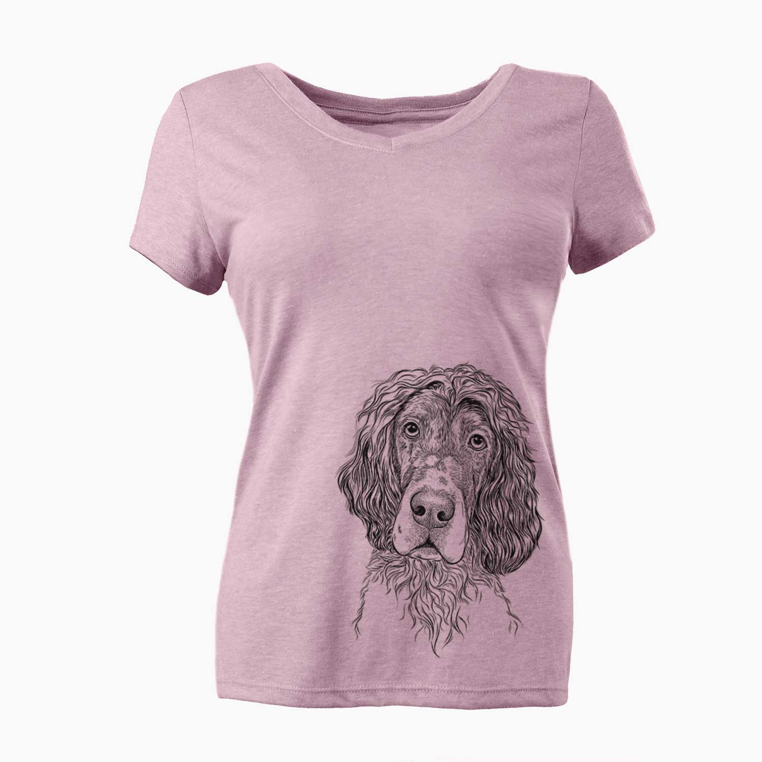 Bare Sir Rexford the Blue Belton English Setter - Women's V-neck Shirt