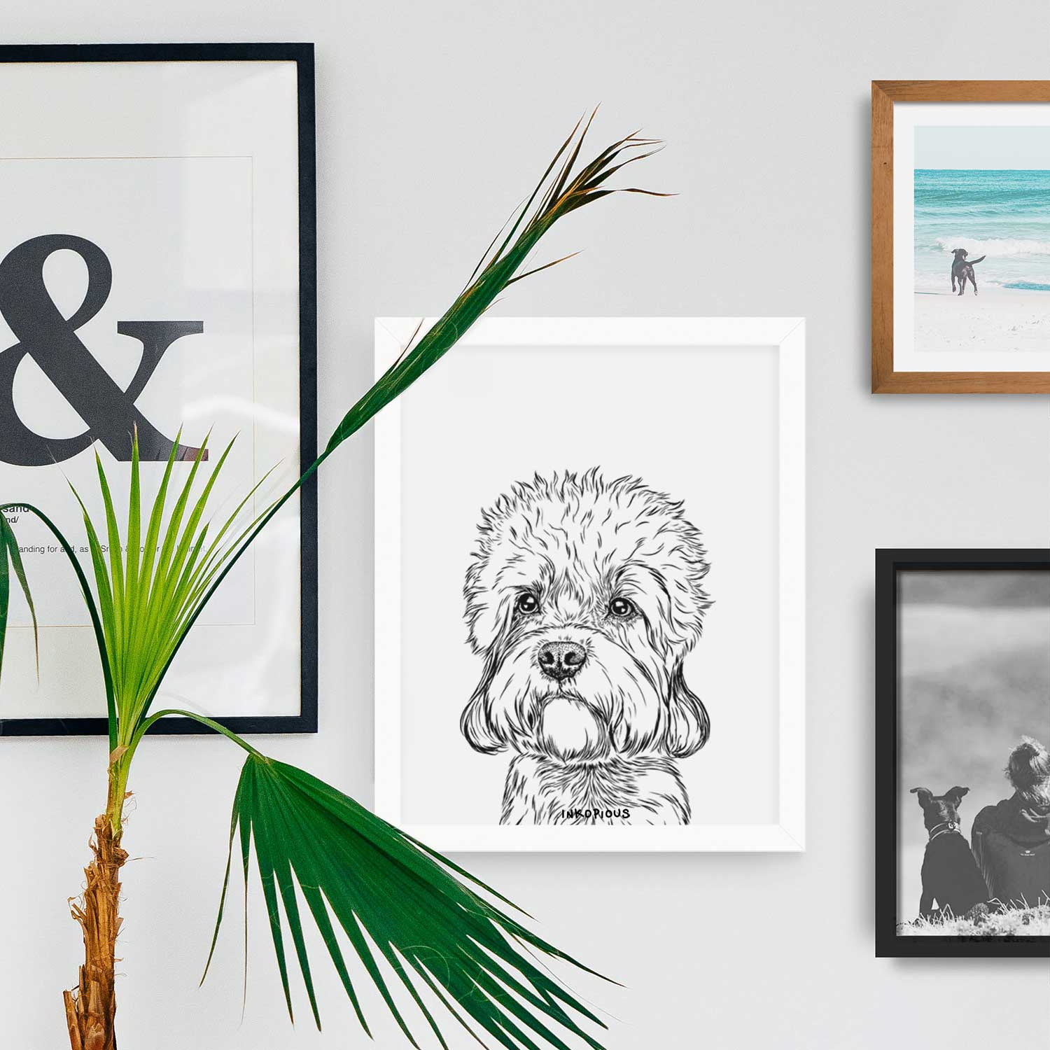 Sir Walter the Dandie Dinmont Terrier Art Print