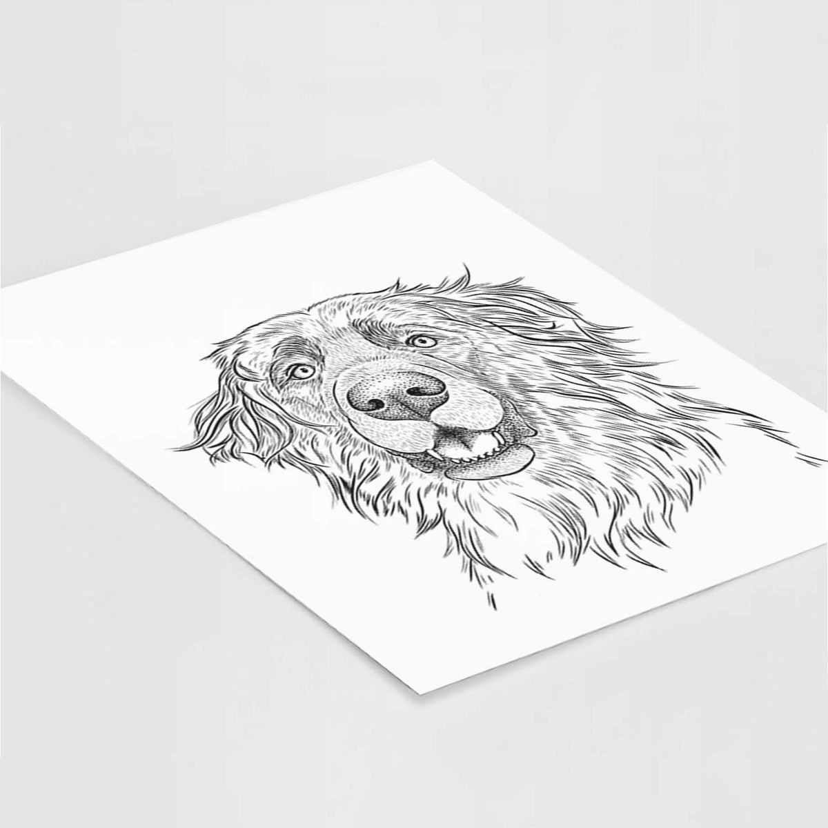 Siri the Leonberger Art Print