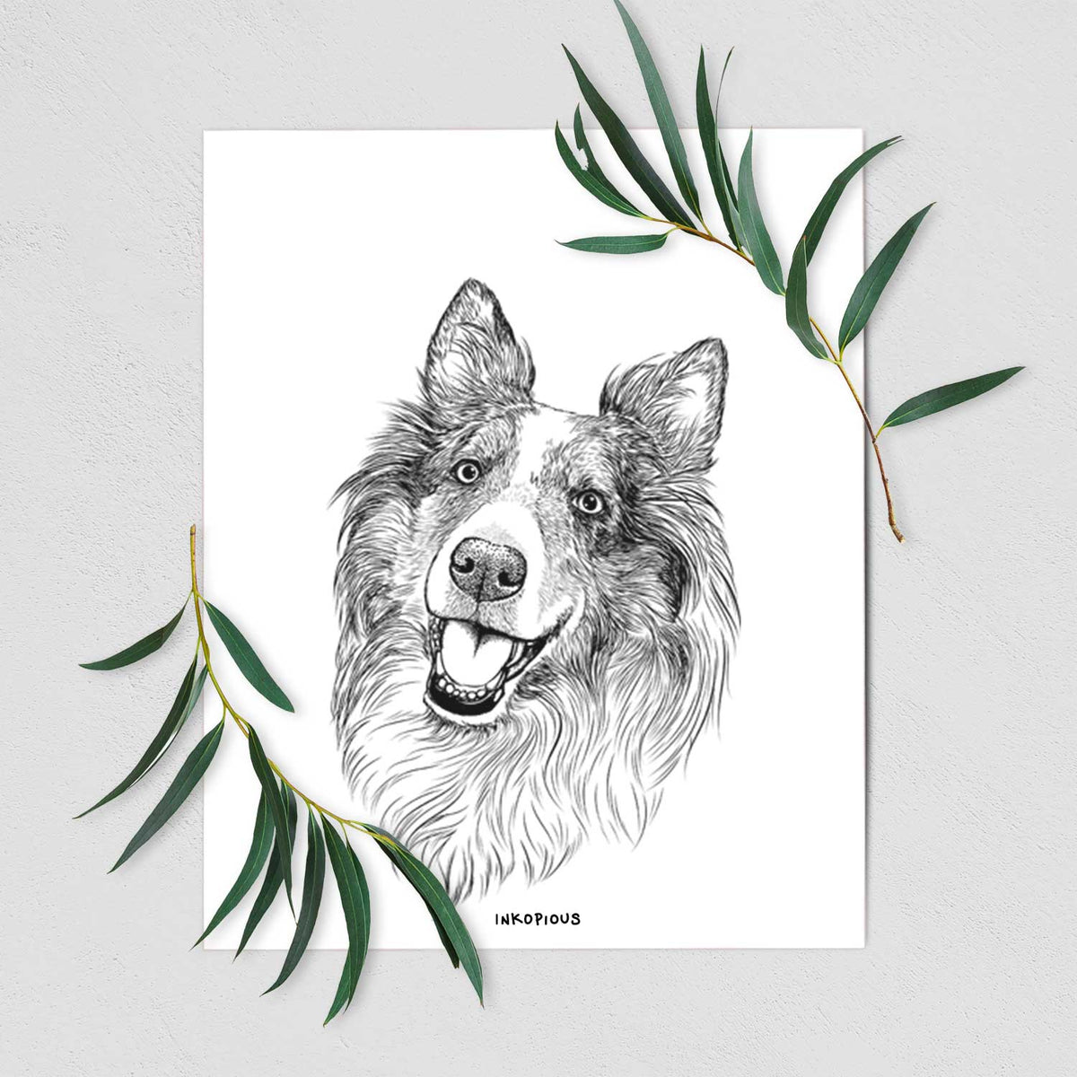 Skylar the Shetland Sheepdog Art Print