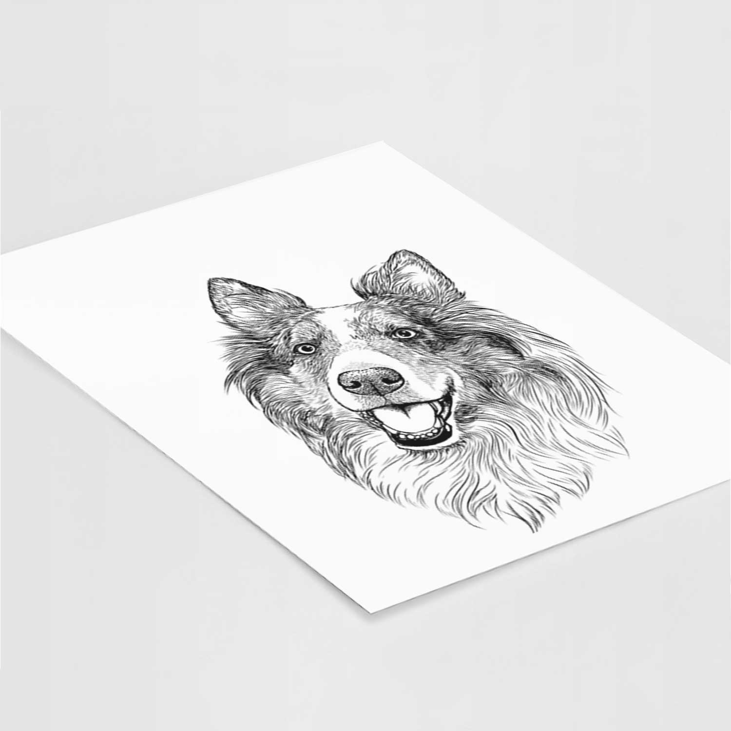 Skylar the Shetland Sheepdog Art Print