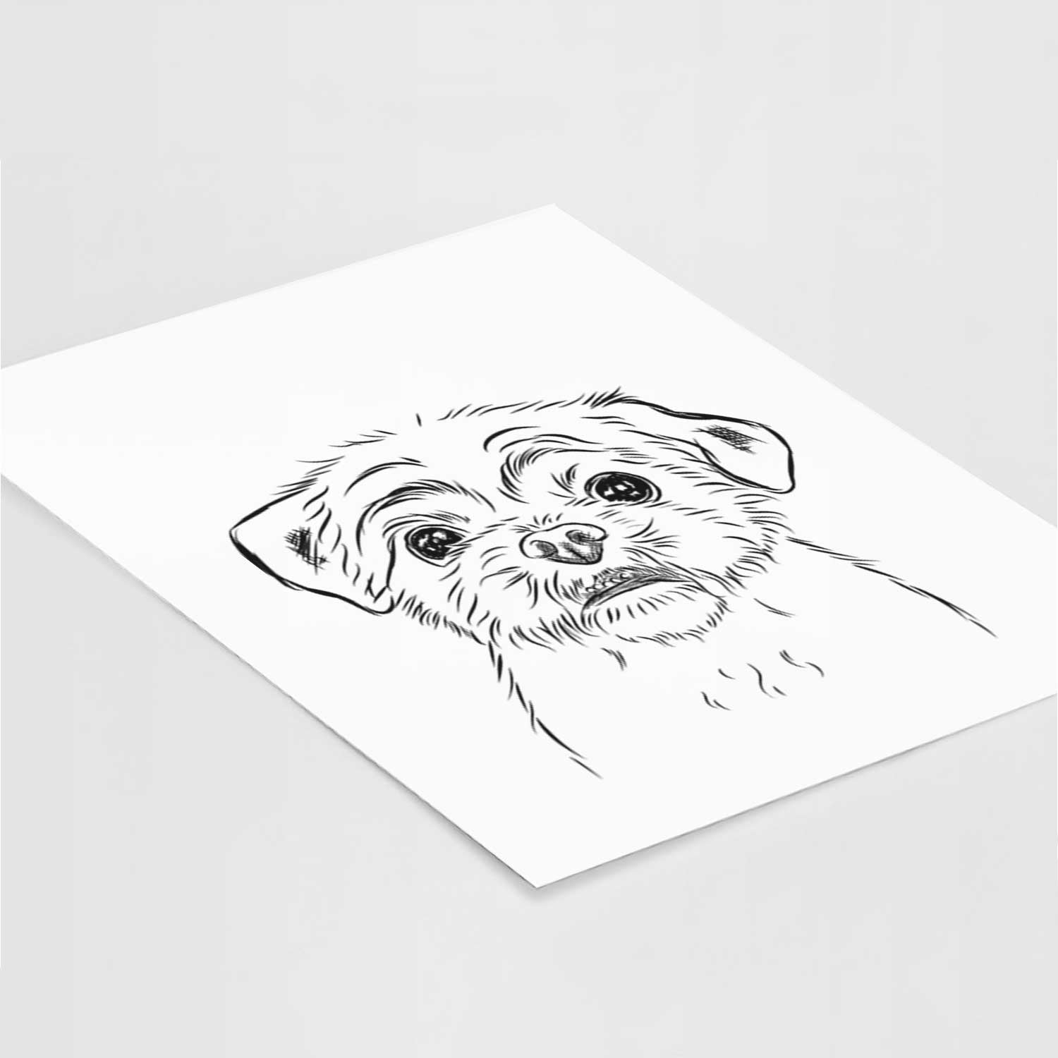 Smash the Shih Tzu Art Print