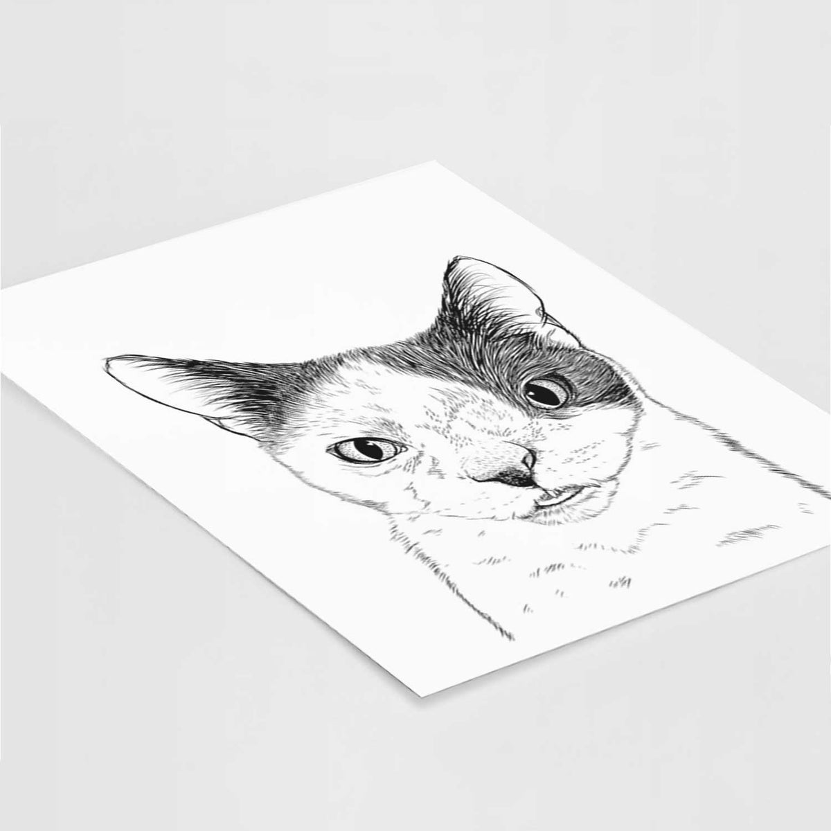Smeagol the Cat Art Print