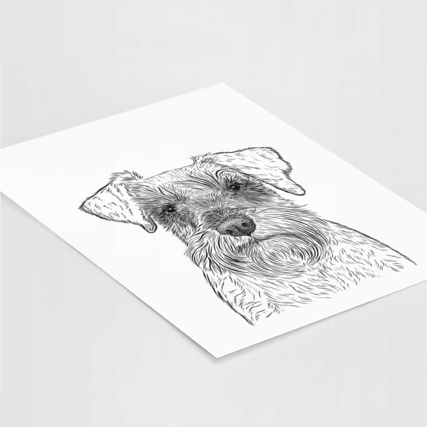 Smokey the Miniature Schnauzer Art Print
