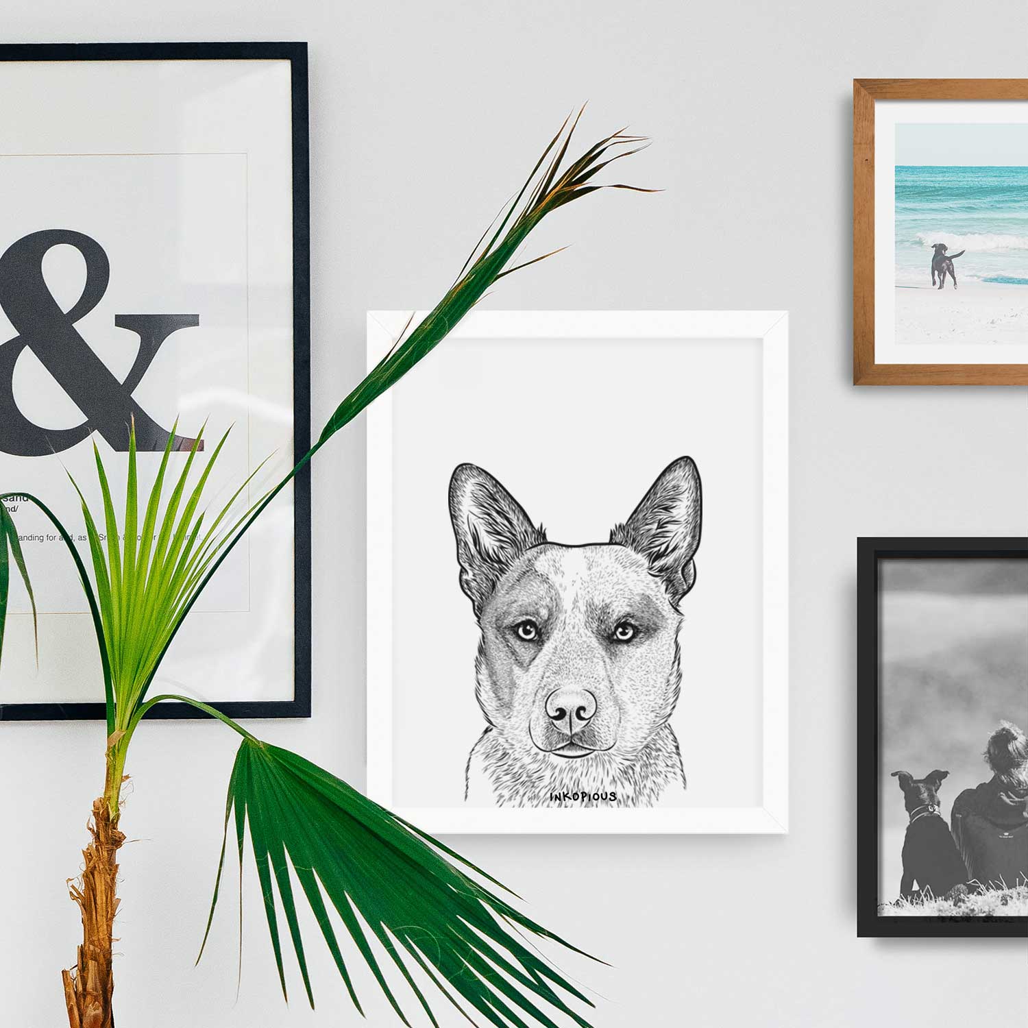 Snap the Australian Cattle Dog Art Print