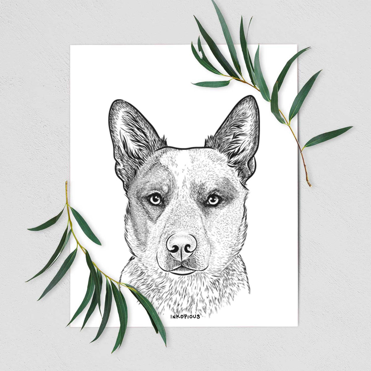 Snap the Australian Cattle Dog Art Print