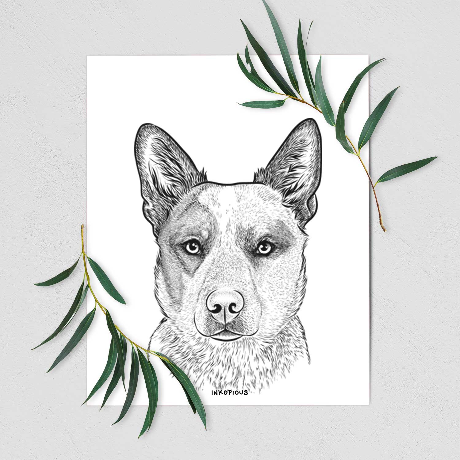 Snap the Australian Cattle Dog Art Print